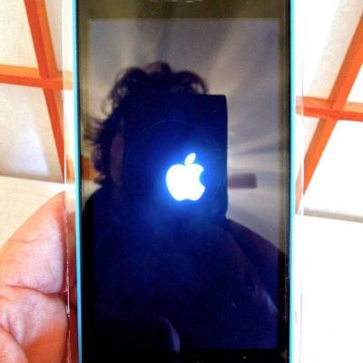 Lot 154: iPhone 5c Cell Phone in Original Case