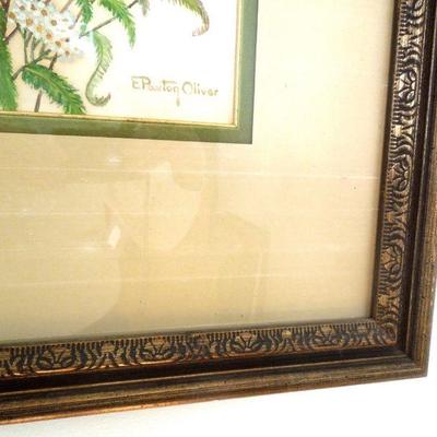 Lot 192: Two Vintage Framed Bird Prints by Middleton and Oliver