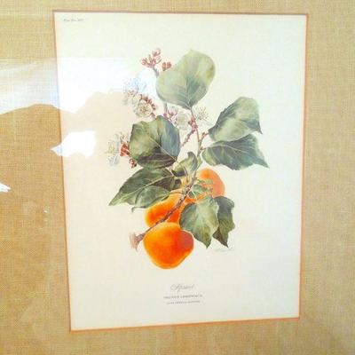Lot 208: Vintage Framed Originals and Antique Glass