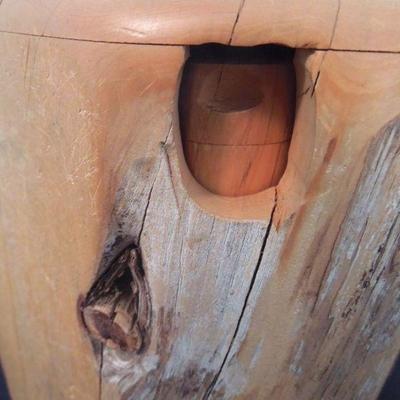 Lot 269: A Live Edge Cedar Box with Drawer
