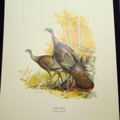 Lot 46: Vintage Field and Stream Portfolio of Game Birds and Bookends