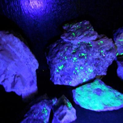 Lot 120: Flourescent Hyalite Opal Collection with Shelf and Black  Light