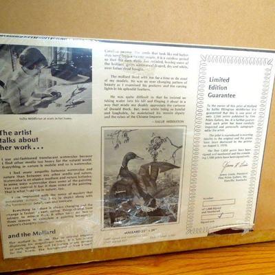 Lot 195: Framed Print Mallard duck by Sallie E. Middleton