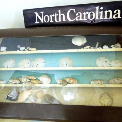 Lot 119: Small Display Case of NC Sea Shells