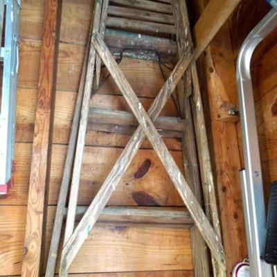 Lot 252: Four Ladders and 3 Extension Cords on Reels