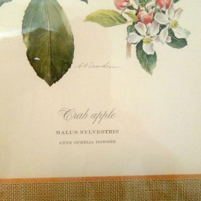 Lot 208: Vintage Framed Originals and Antique Glass