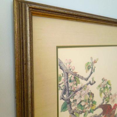 Lot 192: Two Vintage Framed Bird Prints by Middleton and Oliver