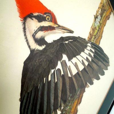 Lot 194: Metal Framed Sallie Middleton "Pileated Woodpecker"