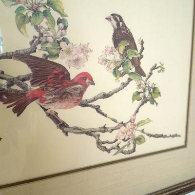 Lot 192: Two Vintage Framed Bird Prints by Middleton and Oliver