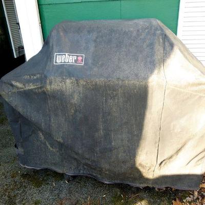 Lot 44: Weber Spirit E210 Grill with Tank and Cover
