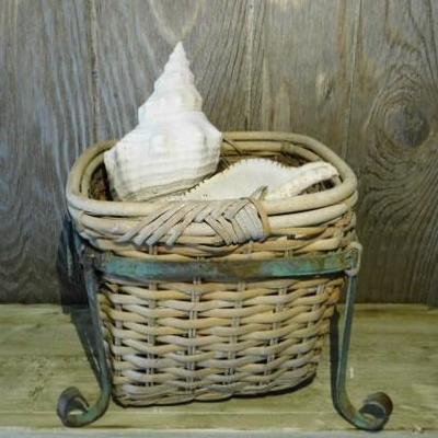 Basket Full of Natural Conch Shells