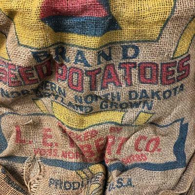 T Brand - seed potatoes 