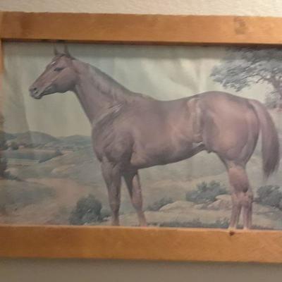 VINTAGE HORSE PICTURE FRAMED