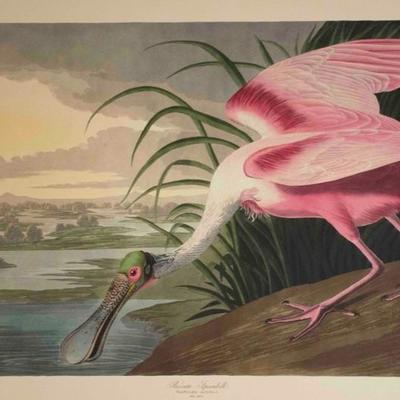 Audubon Havell, Roseate Spoonbill 1999 Limited Edition of 150