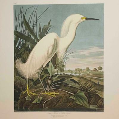 Audubon Havell, Snowy Heron, or White Egret 1999 Limited Edition of 150