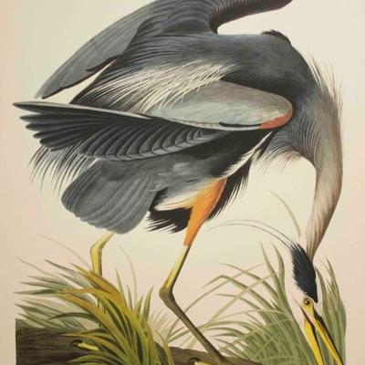 Audubon Havell, Great Blue Heron 1999 Limited Edition of 150