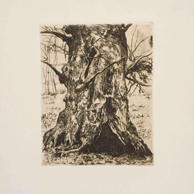 Joseph Stella, Tree Trunk, Circa 1960