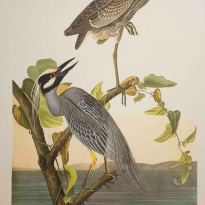 Audubon Havell, Yellow-Crowned Heron 1999 Limited Edition of 150