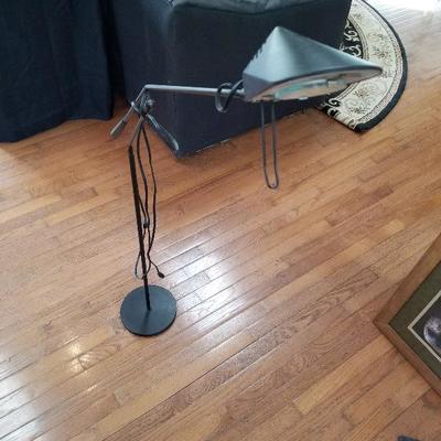 Adjustable Floor Lamp & Thumper personal massager