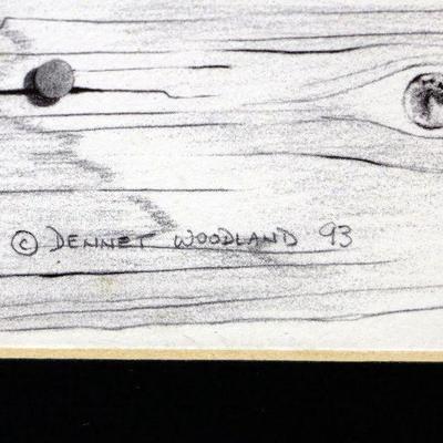 Dennet Woodland Bird Lithograph Print in Frame - A-028