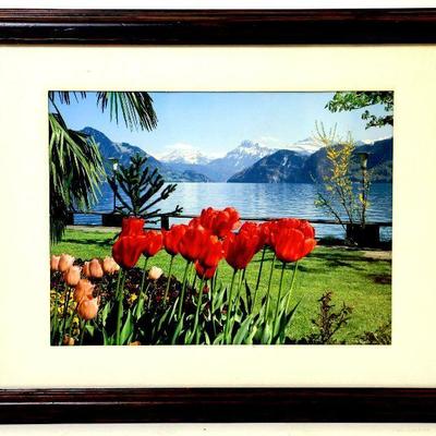 Red Tulips over the Lake and Mountains ART PHOTO in Frame - A-030
