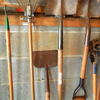 Lot 49: Wall of Quality Wood Handled Garden and Yard Tools