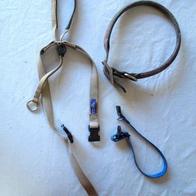 Lot 31: Doggie Care Essentials Leashes Collars
