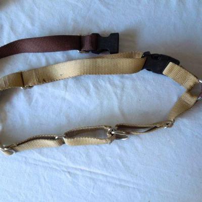 Lot 31: Doggie Care Essentials Leashes Collars