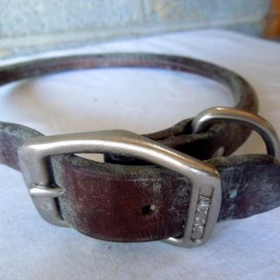 Lot 31: Doggie Care Essentials Leashes Collars