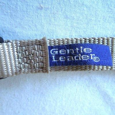 Lot 31: Doggie Care Essentials Leashes Collars