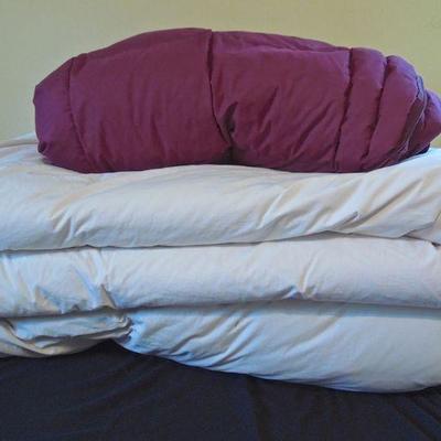 Lot 193: The Company Store Twin Down Comforters