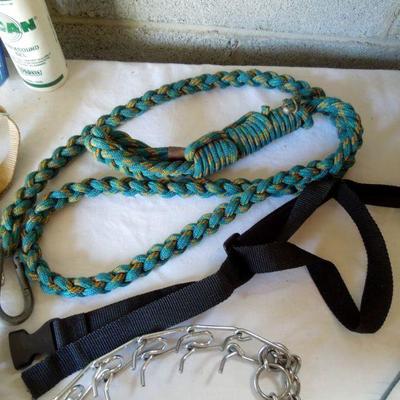 Lot 31: Doggie Care Essentials Leashes Collars