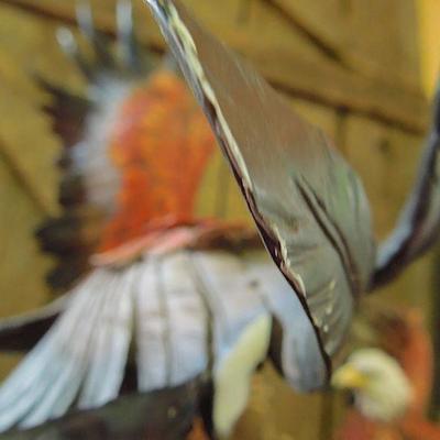 Lot 36: MONTEFIORI Collection 25in Fighting Bald Eagles Above a Branch