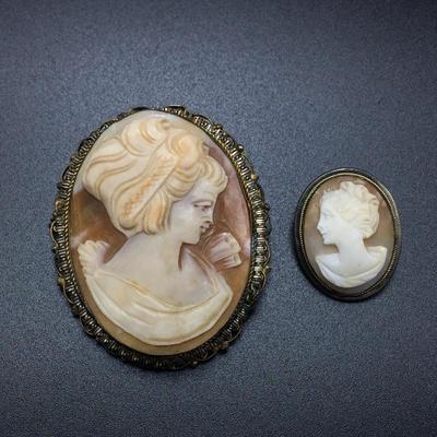Lot 96 Collection of Cameos
