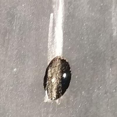 14k Saphire diamond ring. Inv# 10
