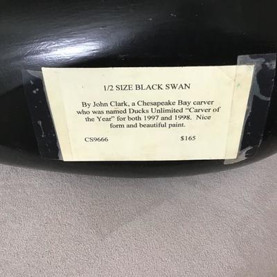 Black Swan by John Clark