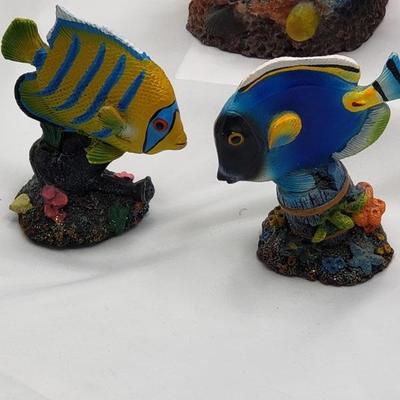 Collection of fish 