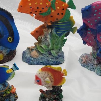 Collection of fish 