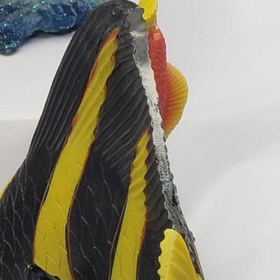 Collection of fish 
