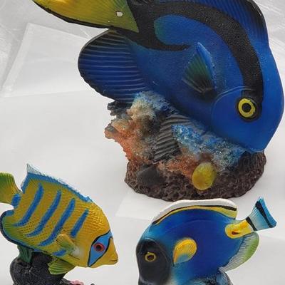 Collection of fish 
