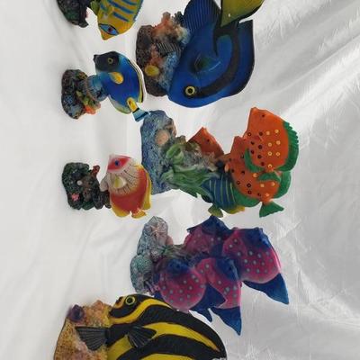 Collection of fish 