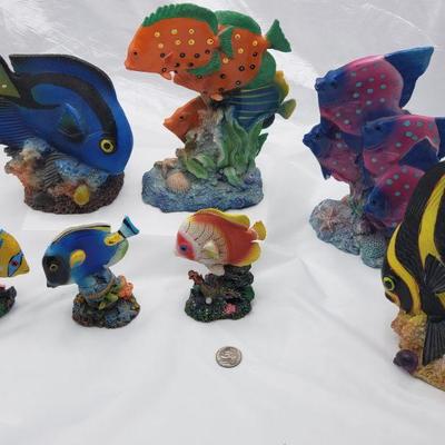 Collection of fish 