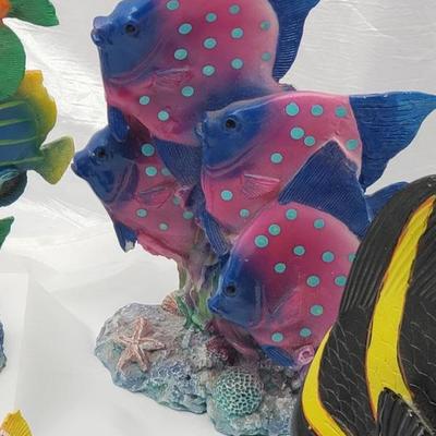 Collection of fish 
