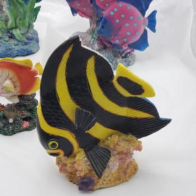 Collection of fish 