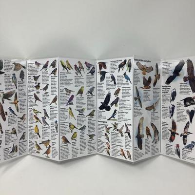 019: Bird Lovers Lot
