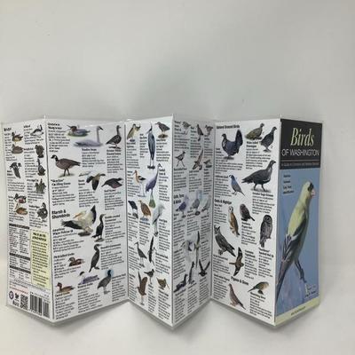 019: Bird Lovers Lot
