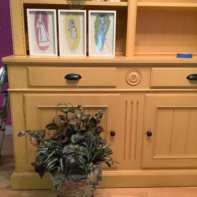 209: Lady Canisters, Pictures, and Plant
