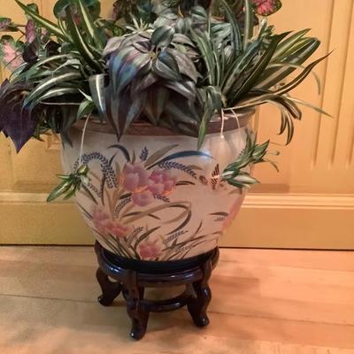 209: Lady Canisters, Pictures, and Plant