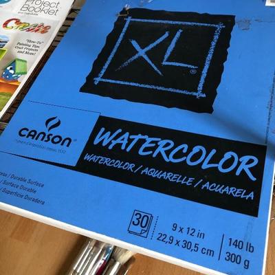096:  Artists Loft Painting Kit, Paint Brushes and Art Supplies