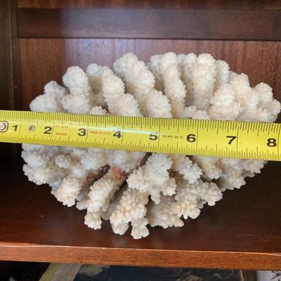 Not as Large Coral